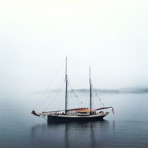 Meet your Posher, Corey